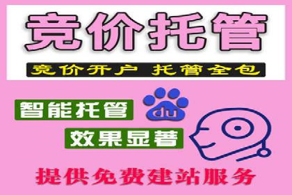 托管竞价SEM操作技巧与案例